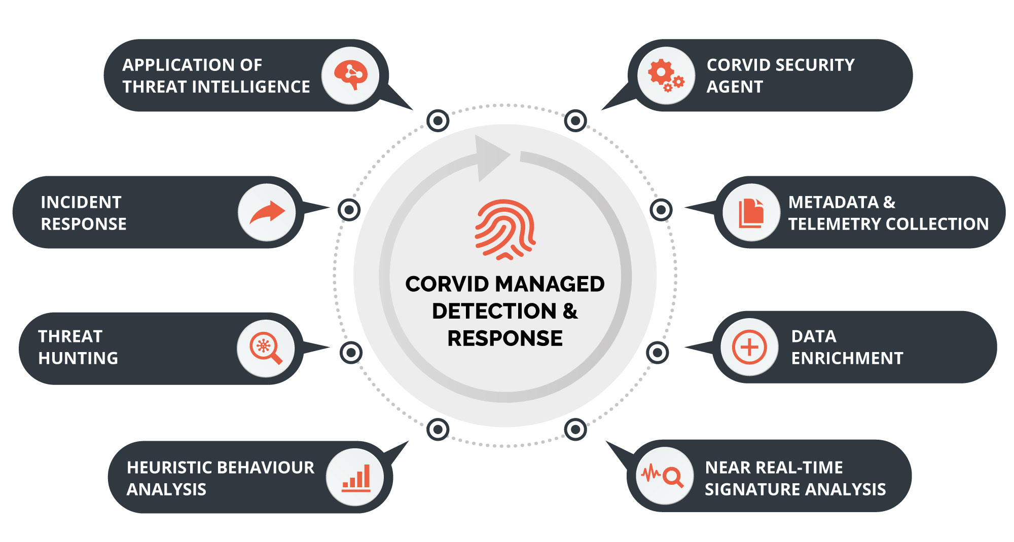 managed-detection-and-response-corvid